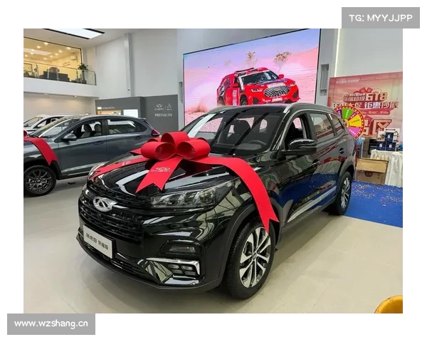 全新一代奇瑞瑞虎8更增加了对人脸的保护